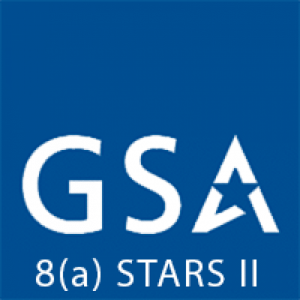 GSA 8(a) STARS II icon